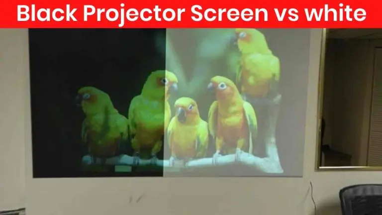 Black Projector Screen vs white